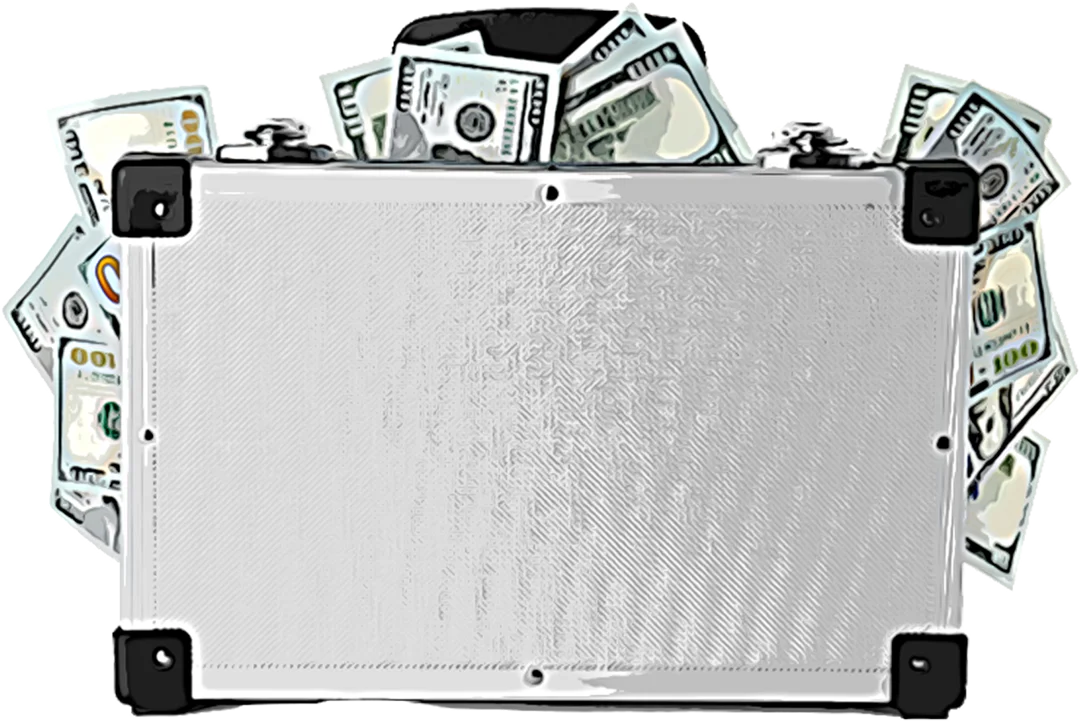 briefcase with money